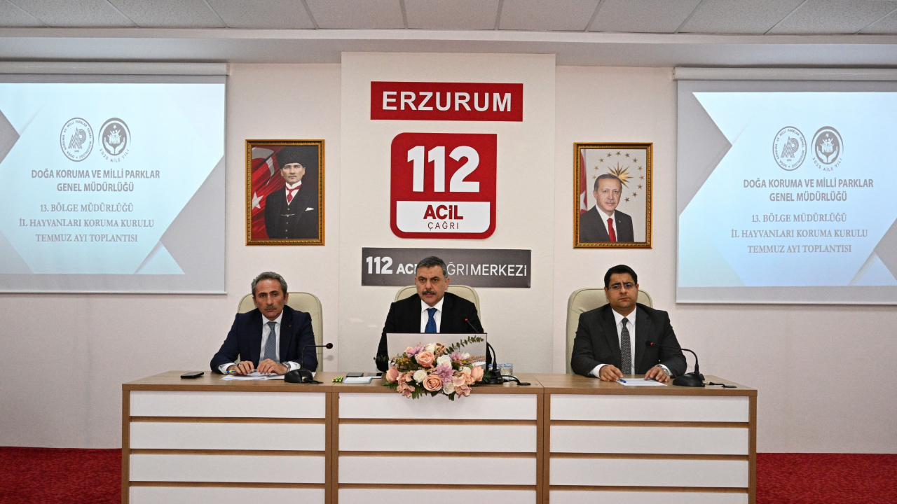 Sokak hayvanları mercek altında
