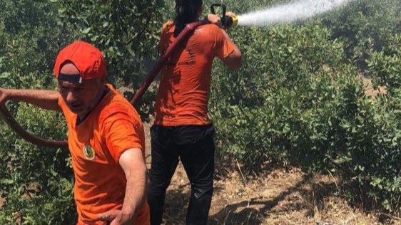 Bingöl’deki orman yangını kontrol altına alındı
