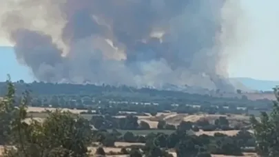 Bulgaristan’daki orman yangını Edirne sınırına dayandı