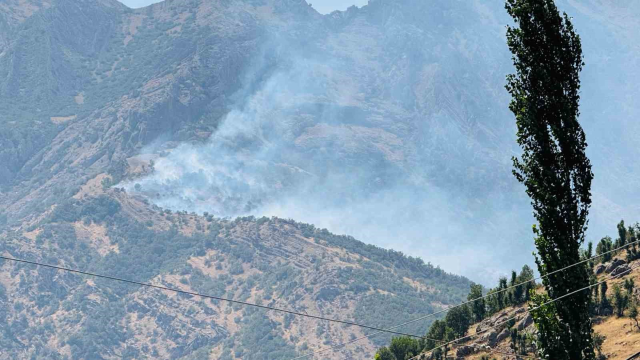 Şırnak’ta orman yangını