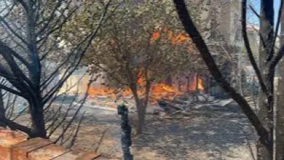 Çanakkale’de orman yangını