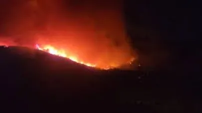 Hatay’da orman yangınının etkili olduğu bölgede evler tahliye ediliyor