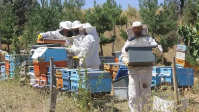 Erzincanlı arıcıların "tatlı" hasat telaşı başladı