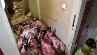 Yumurta paketinden hamam böceği yumurtaları çıktı, yapılan denetimden çıkanlar şoke etti