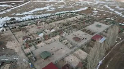 Yaşama Tutunan Patiler Derneğinin barınağı faal olarak çalışıyor