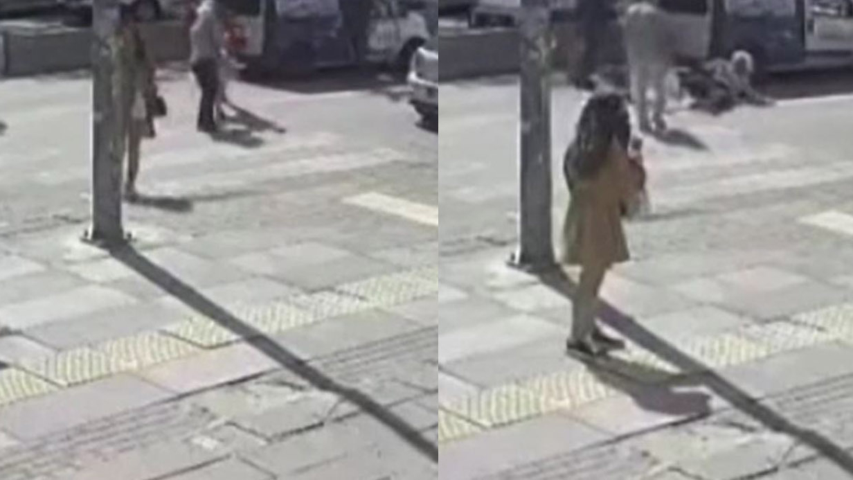 Cipe çarpan motosikletli metrelerce havaya savruldu: Kaza anı kamerada