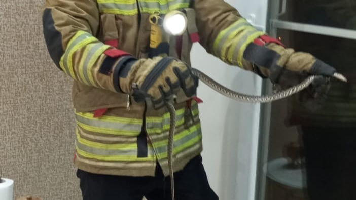 Erzin ve İskenderun’da eve giren yılanları itfaiye yakaladı