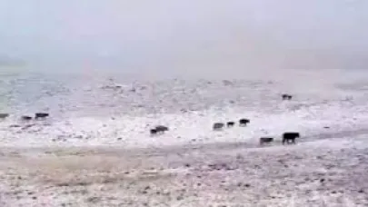 Erzurum’a mevsimin ilk karı yağdı