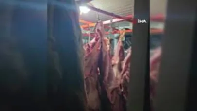 Kayseri’de  ahır içinde 1,5 ton mühürsüz ve uygunsuz et tespit edildi