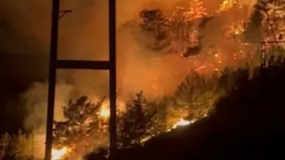 Antalya'nın Alanya ve Aksu ilçelerinde orman yangını