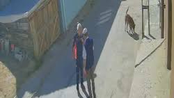 Yaşlı adamı tekme tokat dövdüğü anlar güvenlik kamerasına yansıdı.