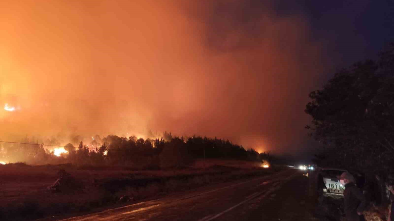 Bursa’da orman yangını...Rüzgarın etkisiyle büyüdü