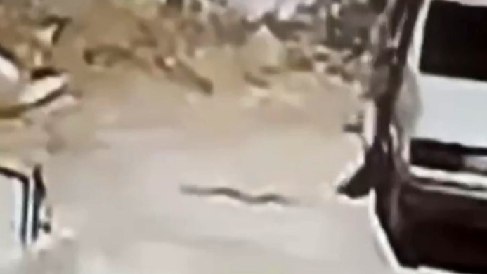 Seyir halindeki araçta yılan paniğine neden oldu