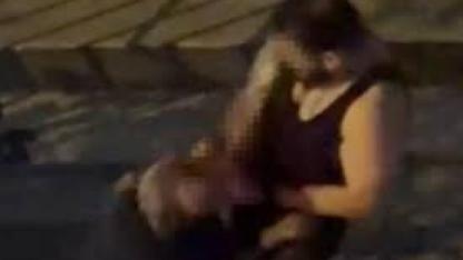 Bahçelievler’de pitbull cinsi köpek sahibine saldırdı