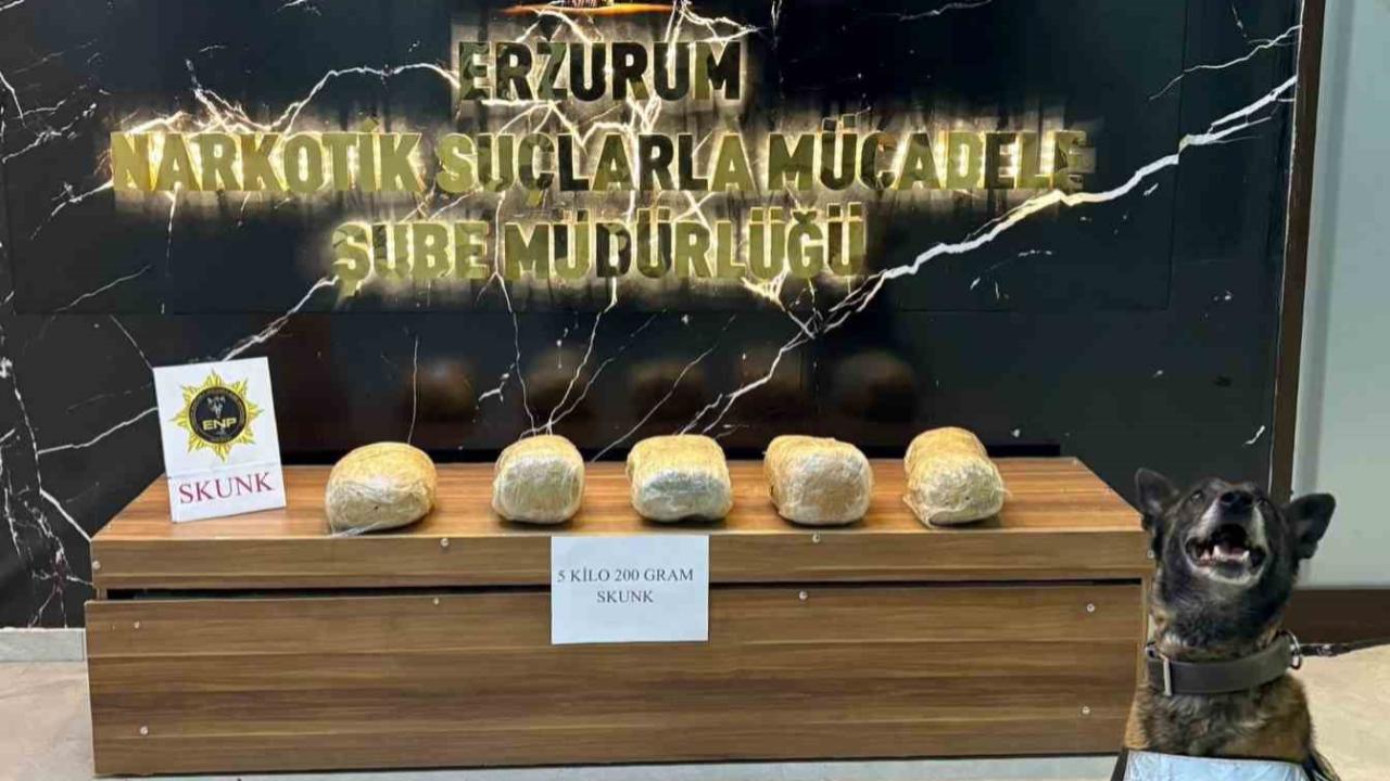 Erzurum’da 5 kilo 200 gram skunk maddesi ele geçirildi