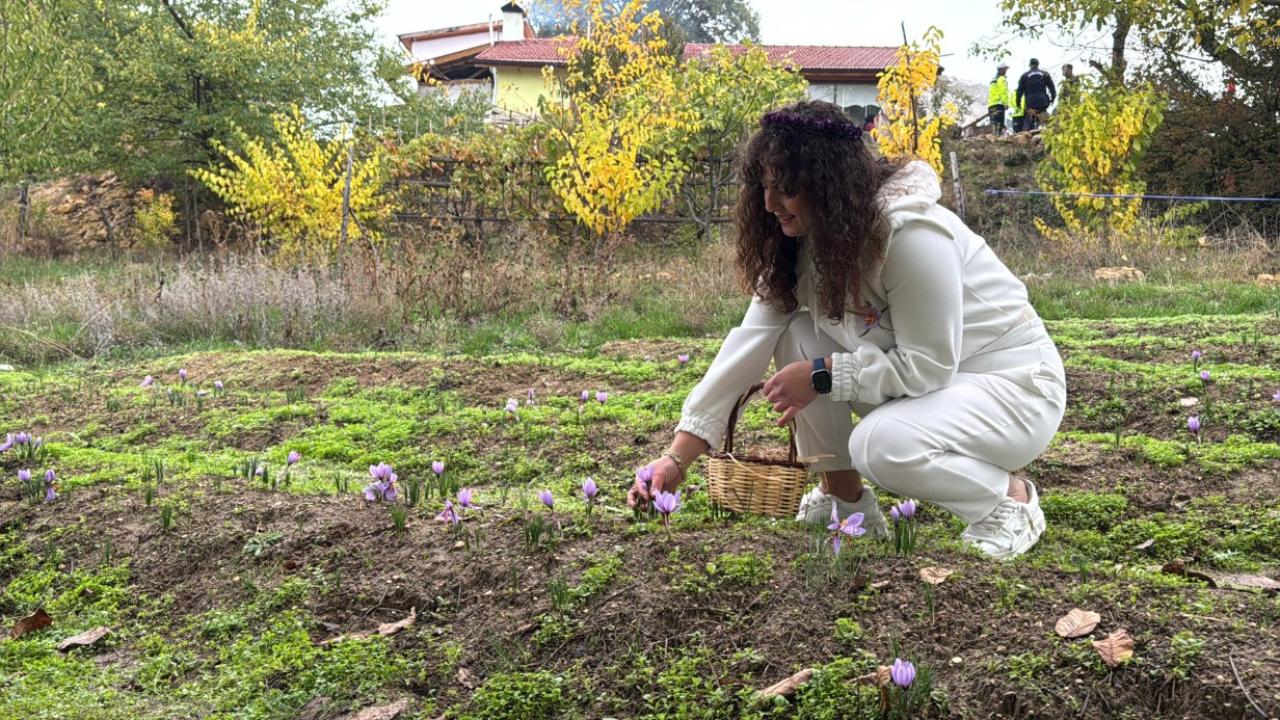 Kilogramı 600 bin liradan satılacak