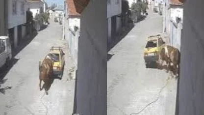 Kızgın boğa, hırsını otomobilden çıkarttı