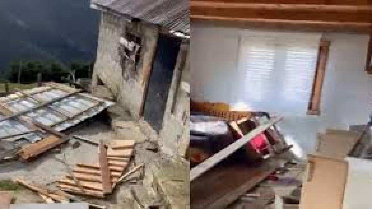 Rize yaylalarında ayı paniği: 20 ev talan edildi