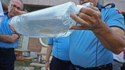 Tayland’tan süs balıkları, Tokat’tan horoz, İstanbul’dan kalkan balığı