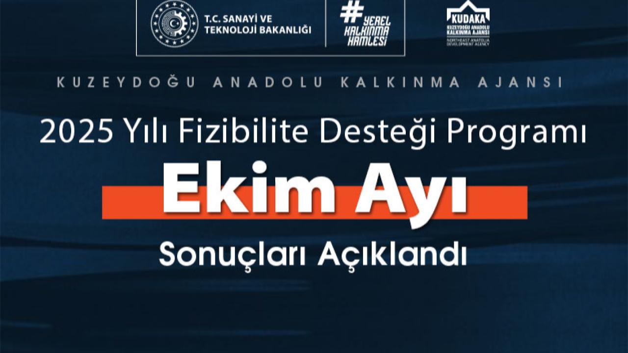 2025 Yılı Fizibilite Desteği Programı EKİM Ayı Sonuçları Açıklandı.