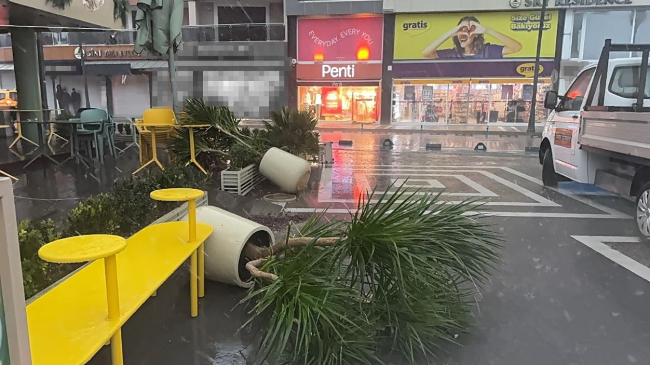 3 tekne karaya vurdu