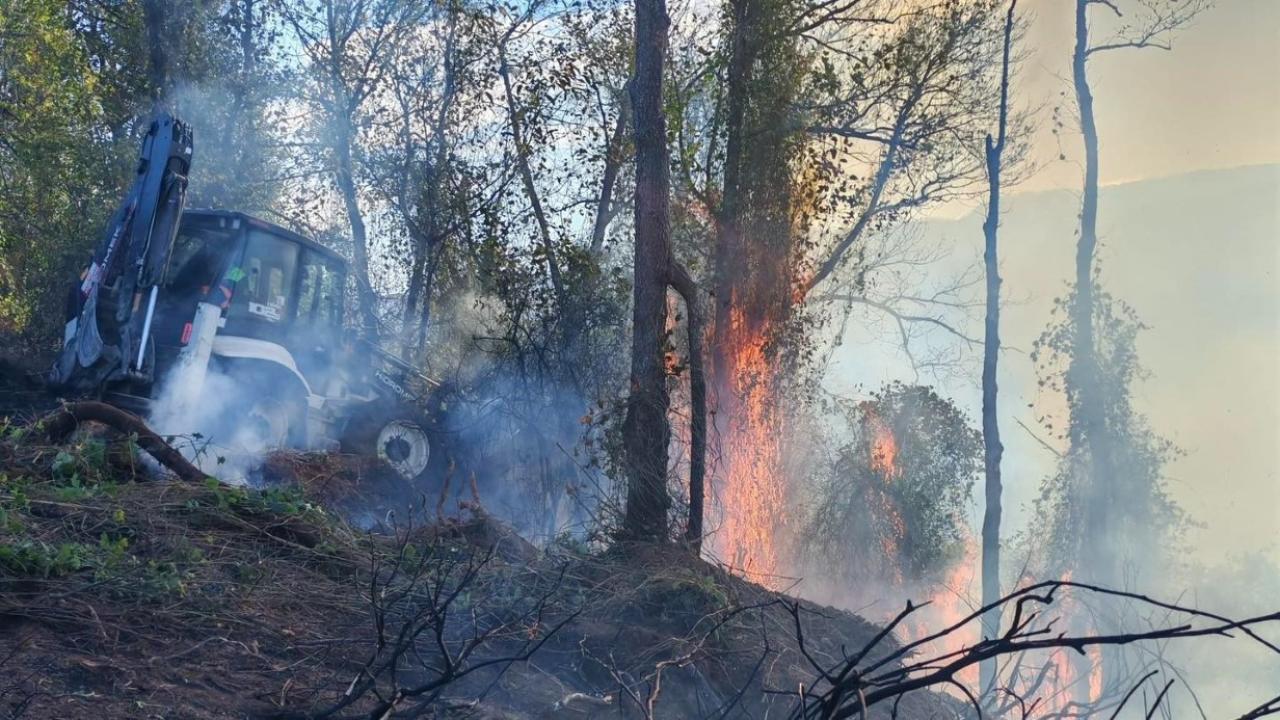 Artvin Hopa’da 5 hektarlık alanı küle çeviren yangınla mücadele sürüyor