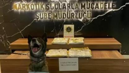 Erzurum’da araçta gizlenmiş uyuşturucuyu ’Magnum’ buldu