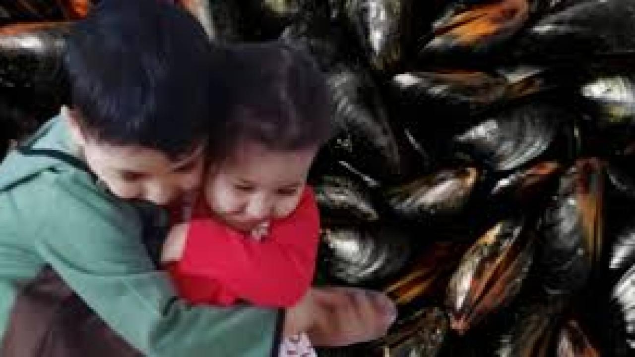 İstanbul’a tatile gelen aile, seyyar satıcıdan yedikleri midyeden zehirlendi: 2 çocuk hayatını kaybetti