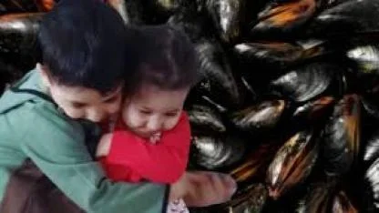 İstanbul’a tatile gelen aile, seyyar satıcıdan yedikleri midyeden zehirlendi: 2 çocuk hayatını kaybetti