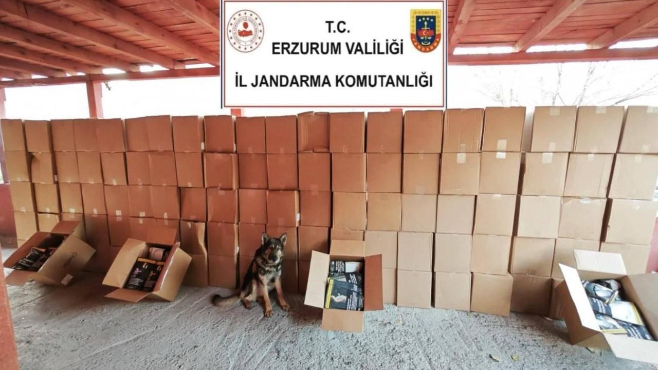 Jandarmadan kaçakçılık ve organize suçlara geçit yok