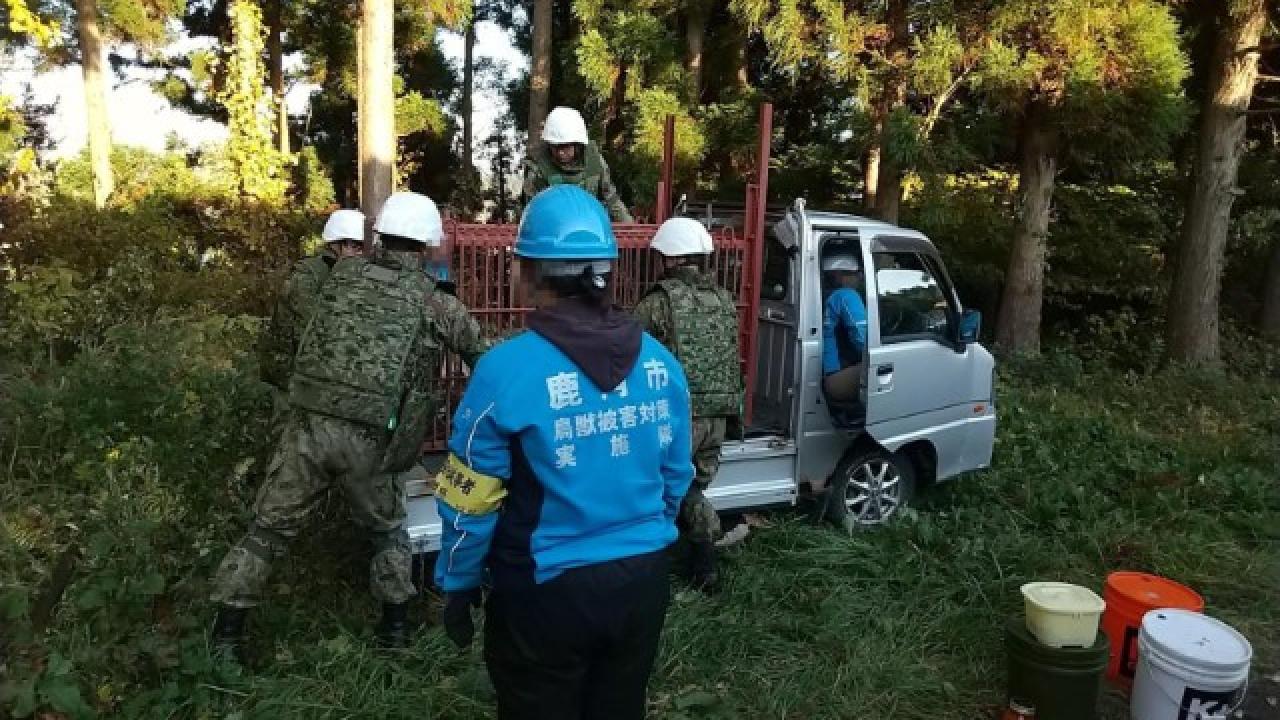 Japonya&#039;da ayılar 12 kişiyi öldürdü, askerler nöbet tutmaya başladı