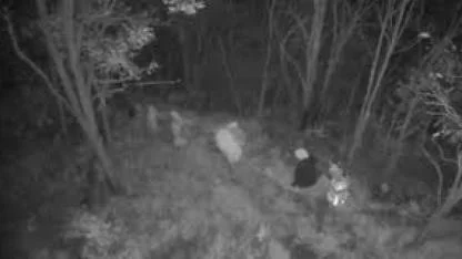 Kırklareli’nde FETÖ operasyonu: 6 şüpheli yurtdışına kaçarken yakalandı