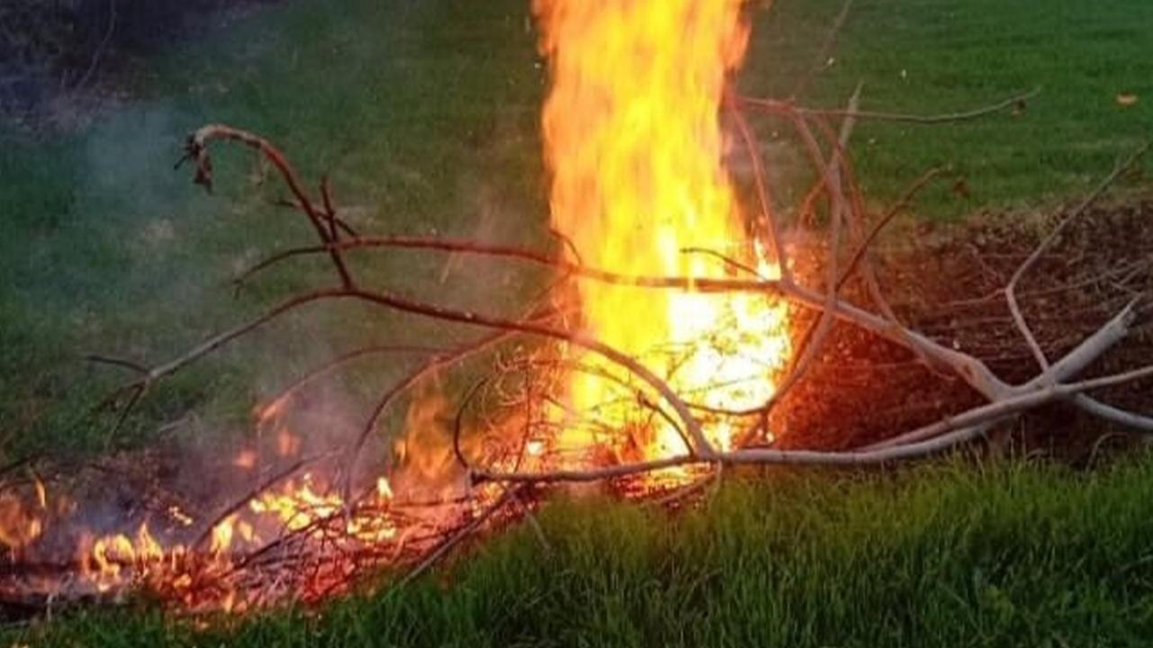 Milas’taki orman yangınları büyümeden söndürüldü