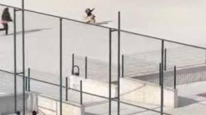 Okul bahçesine giren köpek çocuklara büyük panik yaşattı