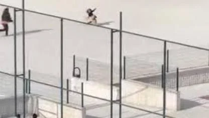 Okul bahçesine giren köpek çocuklara büyük panik yaşattı