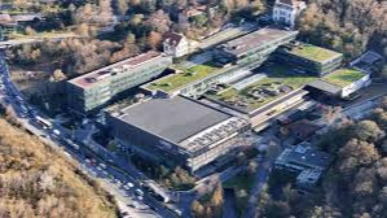 Papa 14. Leo’nun ayine katılacağı Volkswagen Arena’da hazırlıklar sürüyor