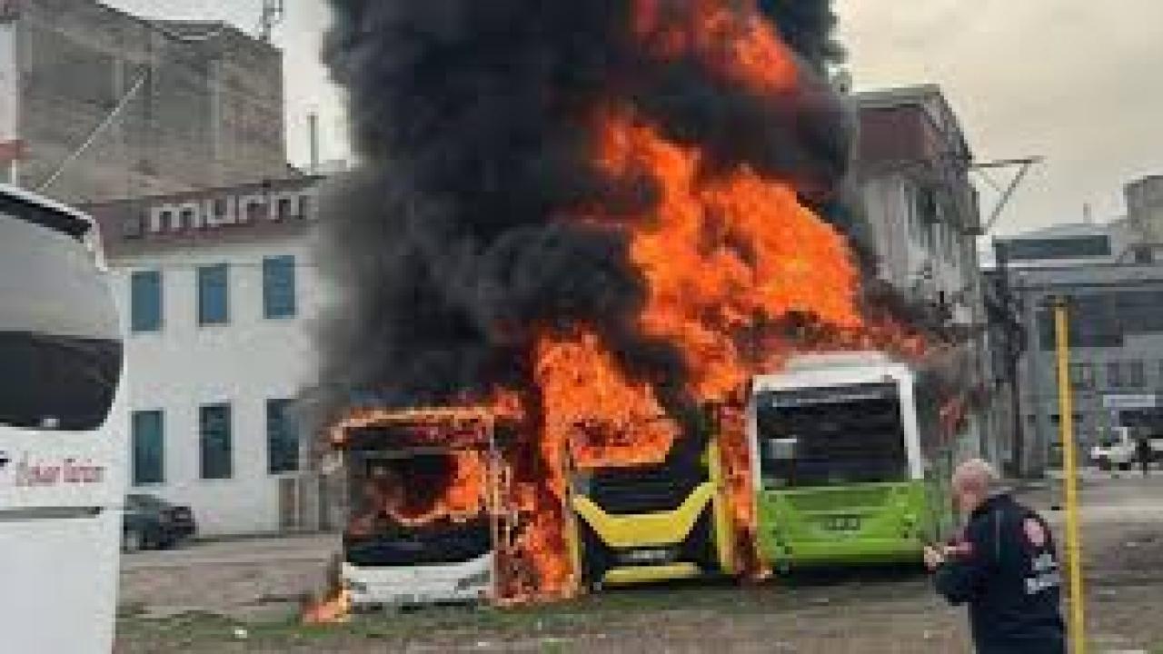 Park halindeki otobüsler cayır cayır yandı