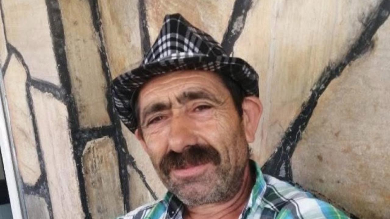 Ağaç kesimine yardım ederken hayatını kaybetti