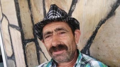 Ağaç kesimine yardım ederken hayatını kaybetti