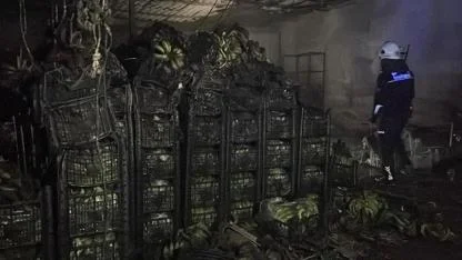 Alanya’da muz sarartma tesisinde yangın: Tonlarca muz zarar gördü