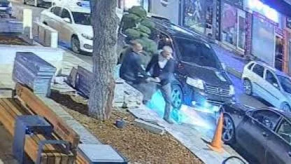 Bu da ağaç hırsızlığı: Parktaki ağacı araçla çaldılar