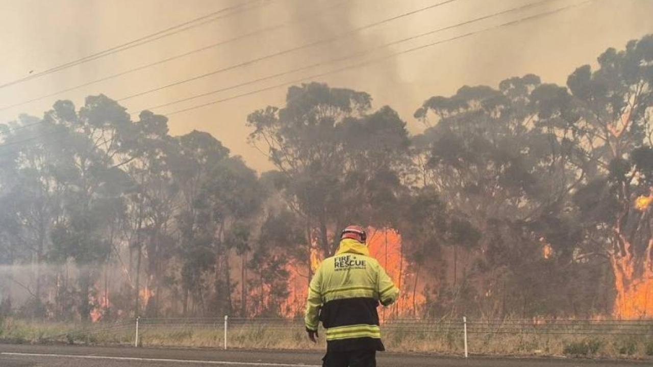 Devam eden orman yangınlarında itfaiye görevlisi öldü