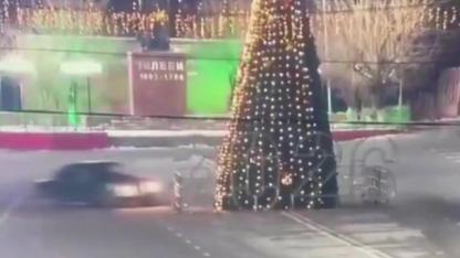 Drift yapan sürücü 12 metrelik yılbaşı ağacı devirdi