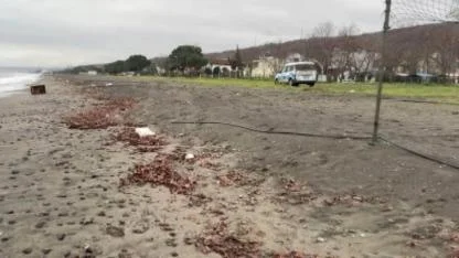 Samsun’da sahile vuran sandık incelemeye alındı