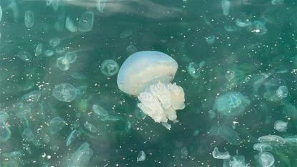 Üsküdar’da hayrete düşüren görüntü