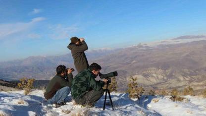 Yaban keçileri tek tek sayılıyor