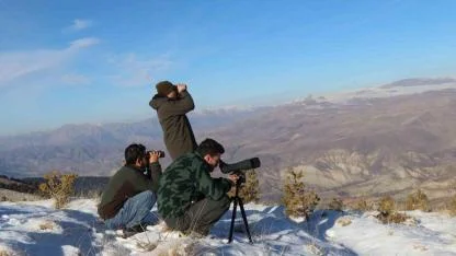 Yaban keçileri tek tek sayılıyor