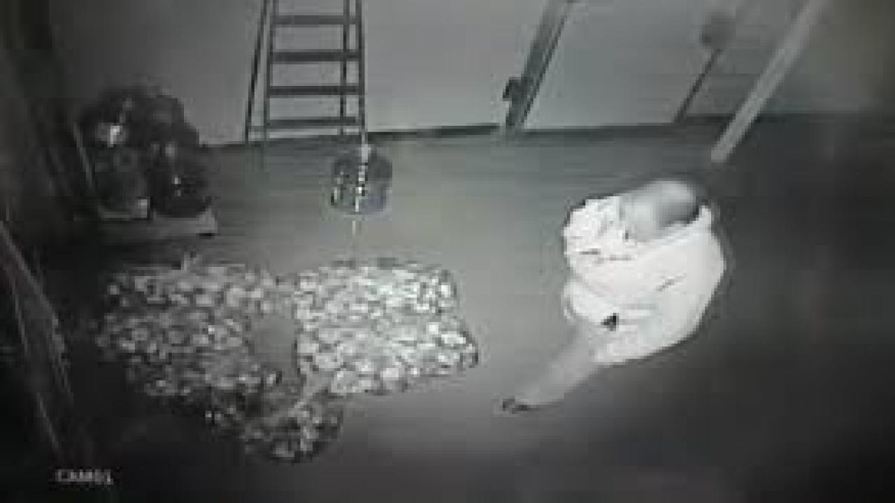 Ekmekte çirkin oyun