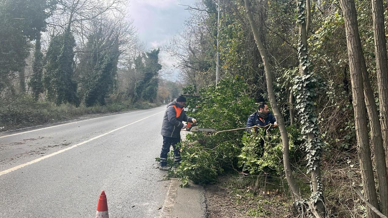 İstanbul için lodos uyarısı: Kuvvetli fırtına etkili olacak