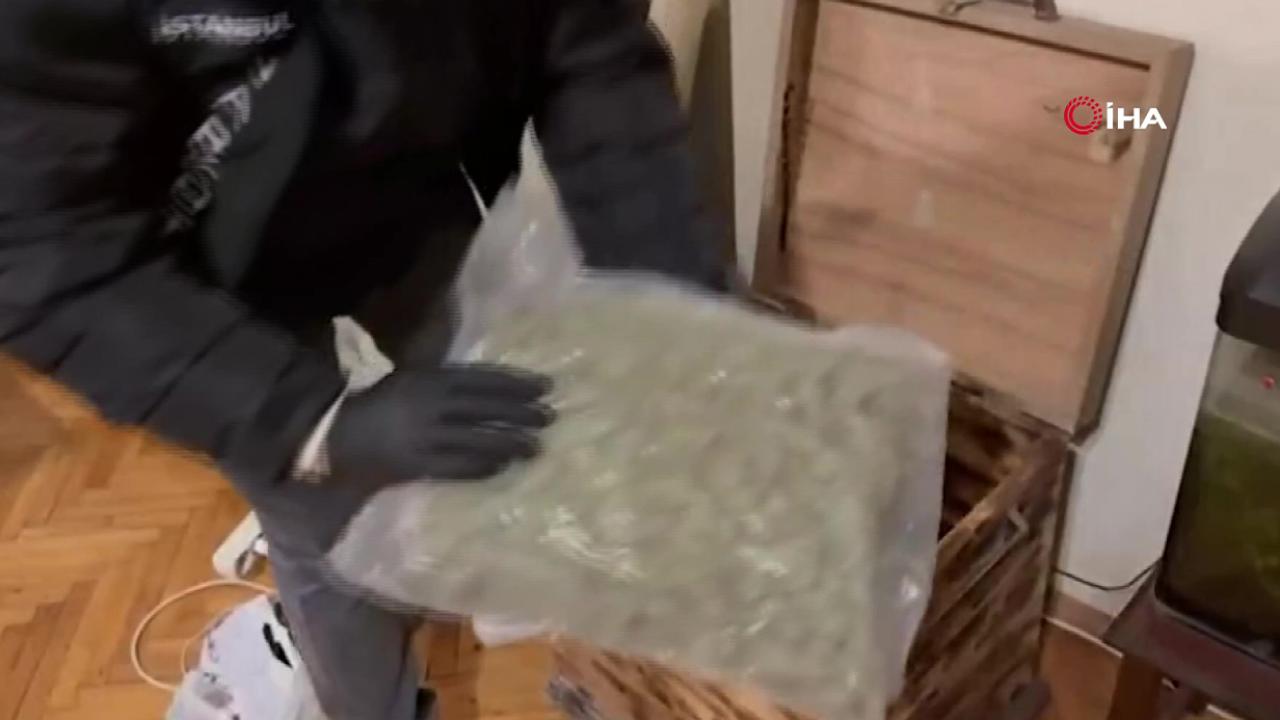 İstanbul’da uyuşturucu operasyonunda avukat ‘kurye’ çıktı